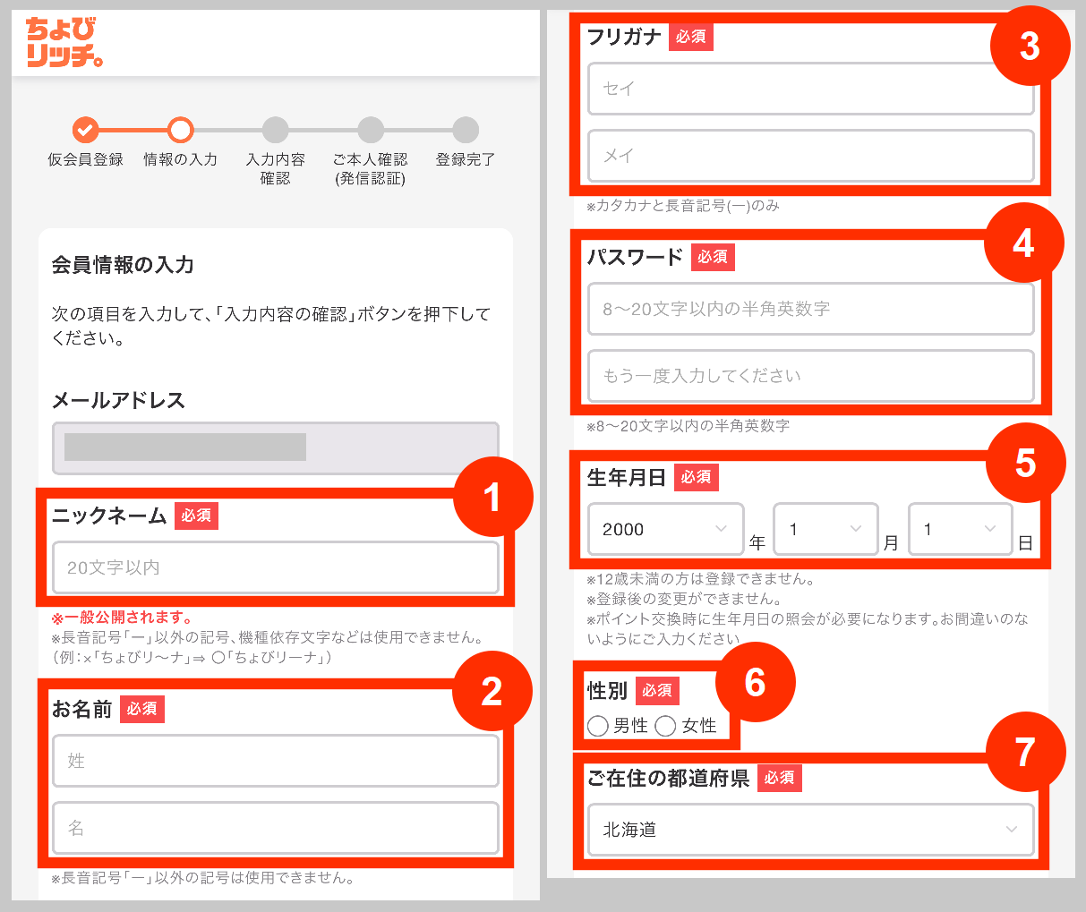 ちょびリッチの本登録、情報入力
