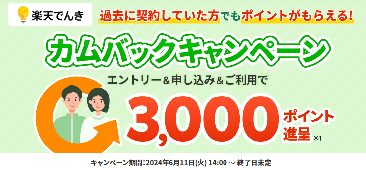 楽天でんきカムバックキャンペーン