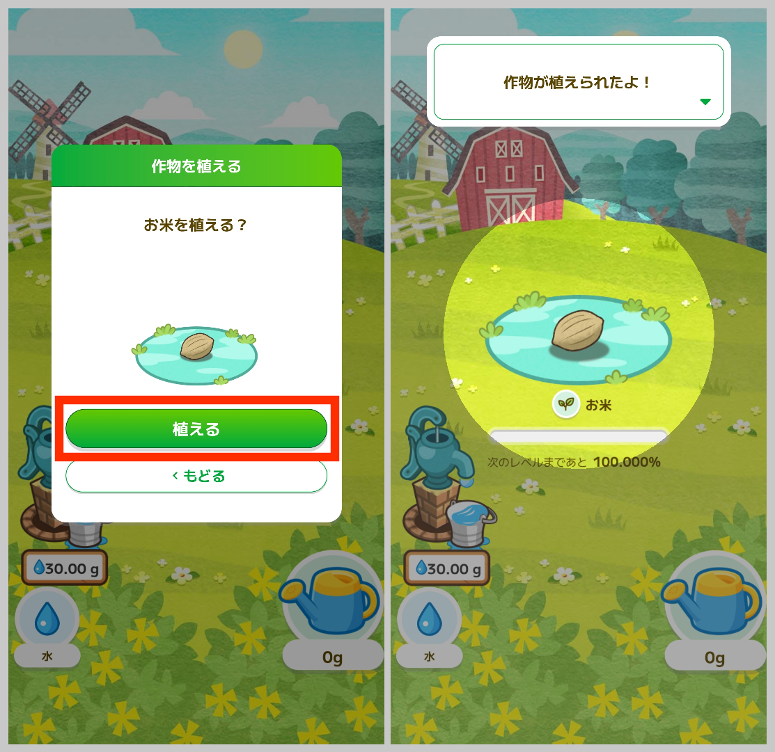 カウシェファームで植物を植える
