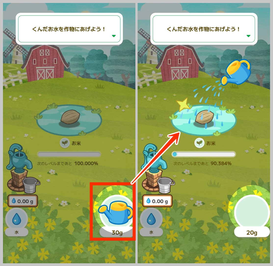 カウシェファームお水を作物にあげます