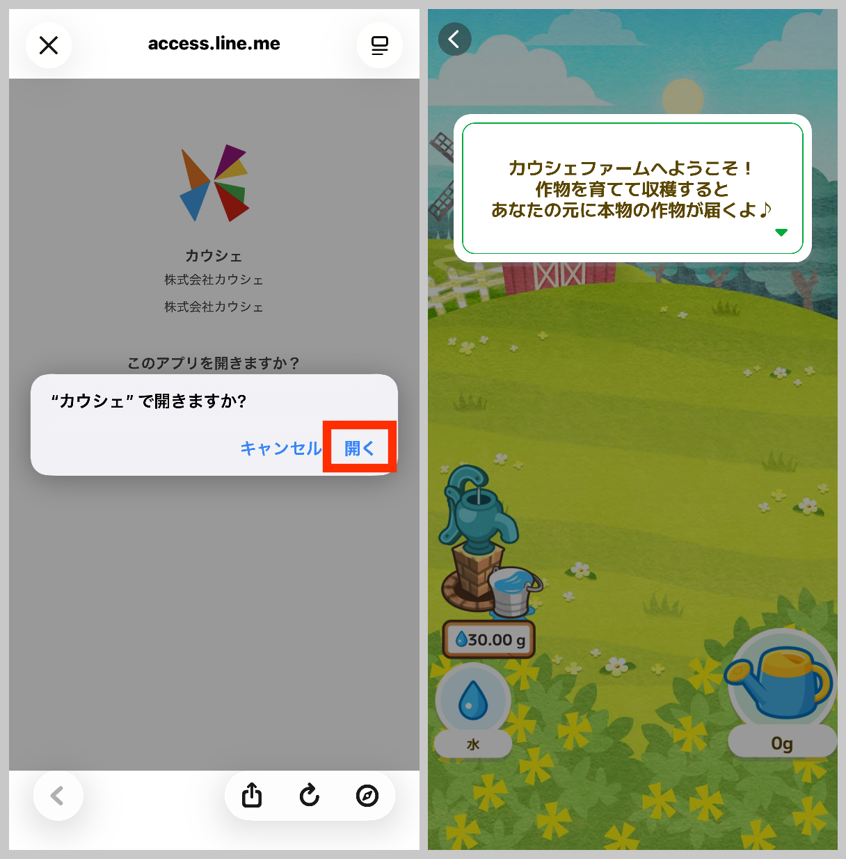 カウシェファームを開くか確認