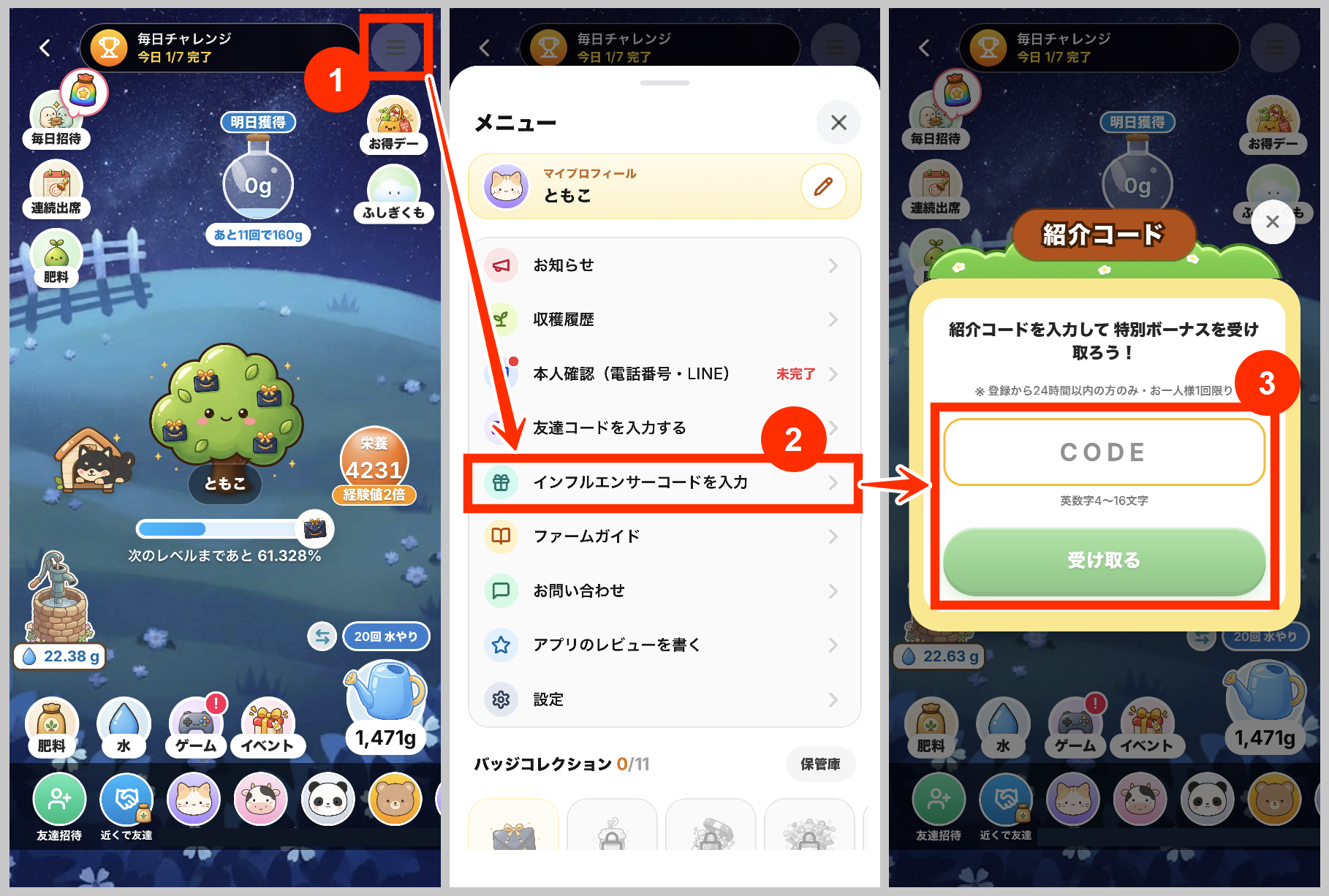 dipsファームのインフルエンサー招待コードの入力手順